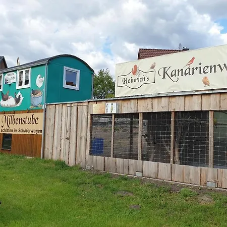 Heinrich's Schaeferwagen Milbenstube Campsite